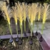 Kép 1/3 - Sunari kerti fű napfű napelemes szolár lámpa 100 cm