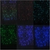 Kép 3/4 - Entac karácsonyi függöny IP44 144 LED RGB 8x8 funkció 1x1.5m IR távirányítóval